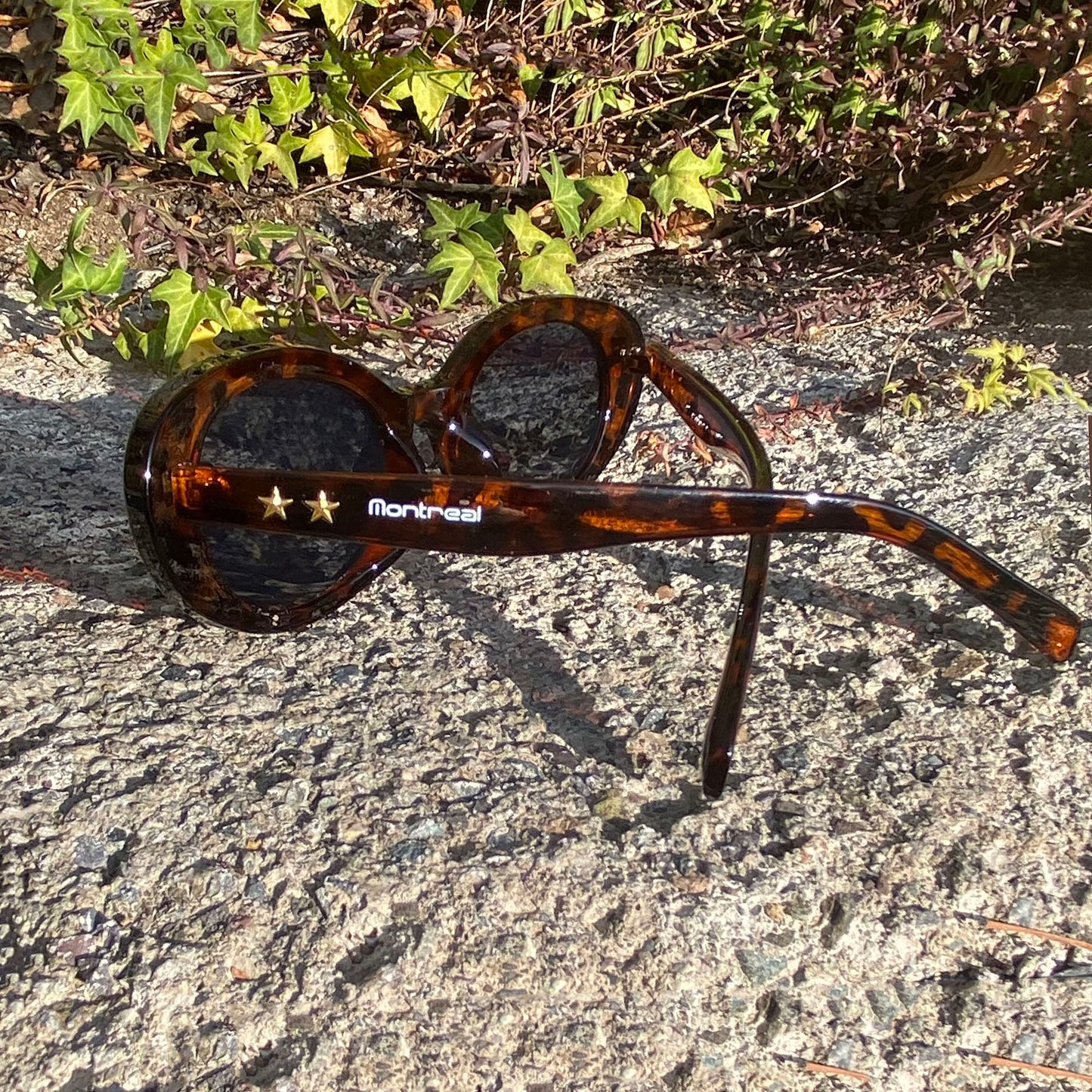 Lentes Sol Mujer Diseño Agatado Filtro Uv Original Charlotte